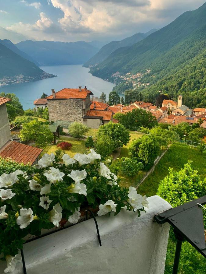 Holiday Home Liliana Faggeto Lario Bagian luar foto