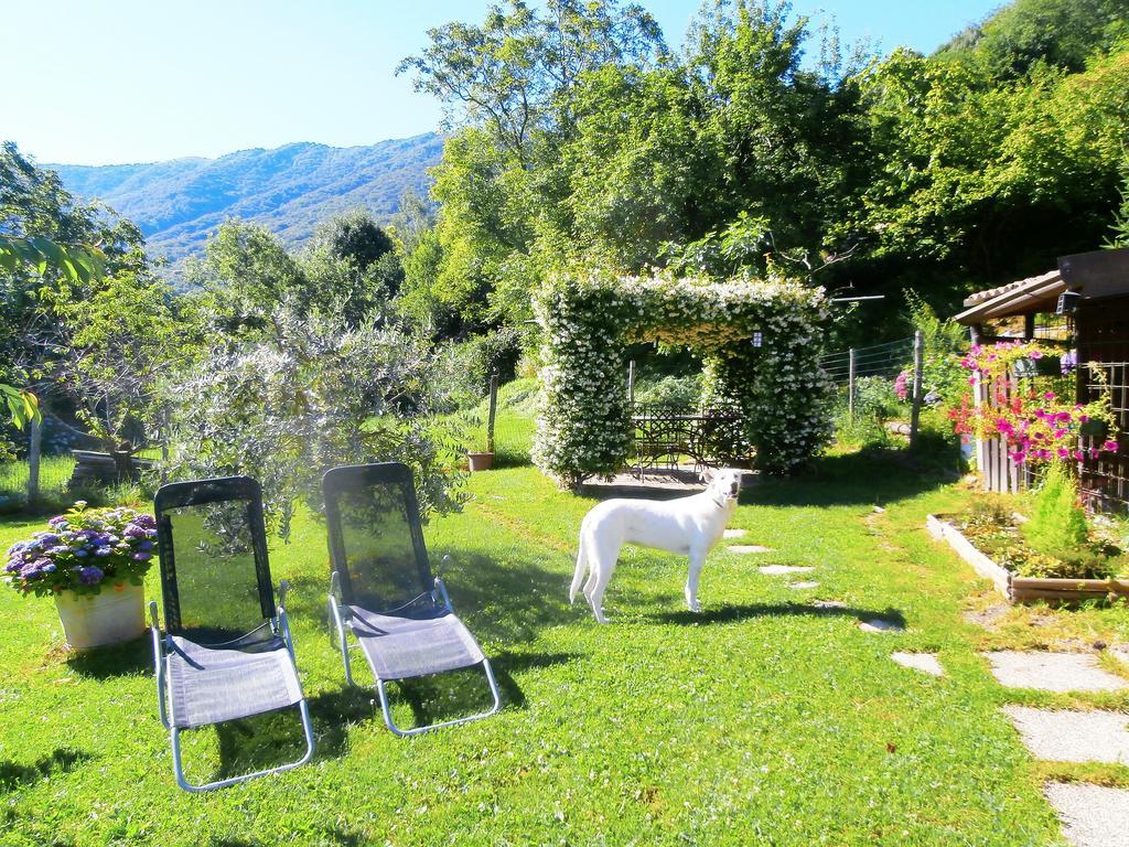 Holiday Home Liliana Faggeto Lario Bagian luar foto