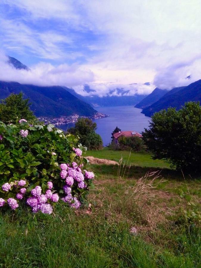Holiday Home Liliana Faggeto Lario Bagian luar foto