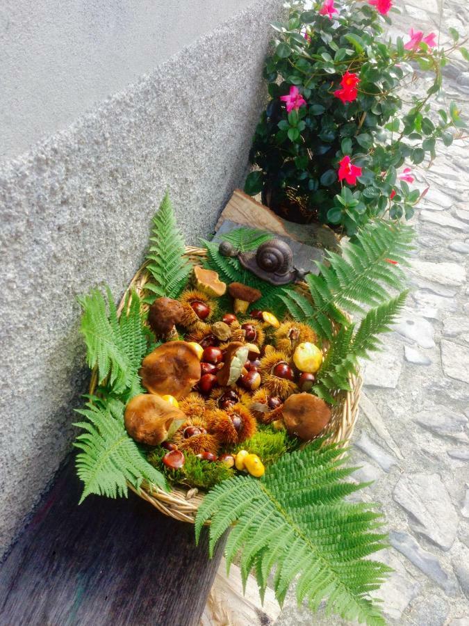Holiday Home Liliana Faggeto Lario Bagian luar foto